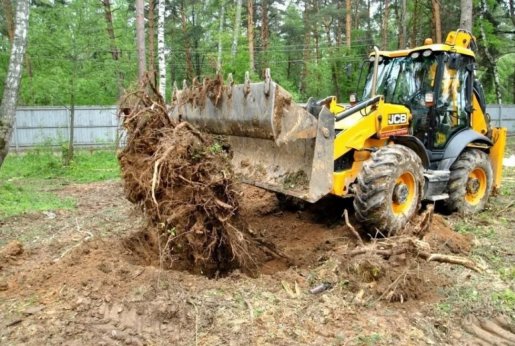 Удаление пней и корчевание вручную и со спецтехникой стоимость услуг и где заказать - Архангельск