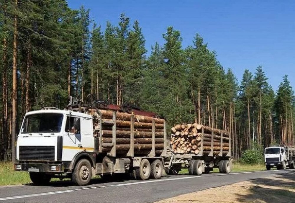 Лесовоз Лесовозы для перевозки леса, аренда и услуги. взять в аренду, заказать, цены, услуги - Архангельск