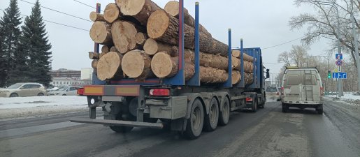 Поиск транспорта для перевозки леса, бревен и кругляка стоимость услуг и где заказать - Архангельск
