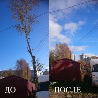 Спил и вырубка деревьев стоимость услуг и где заказать - Архангельск