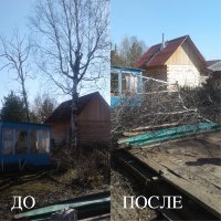Спил и вырубка деревьев стоимость услуг и где заказать - Архангельск